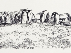 king-penguinsscreenprint